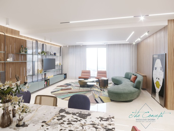 THE CONCEPT - BAROUD PROJECT - TV AREA